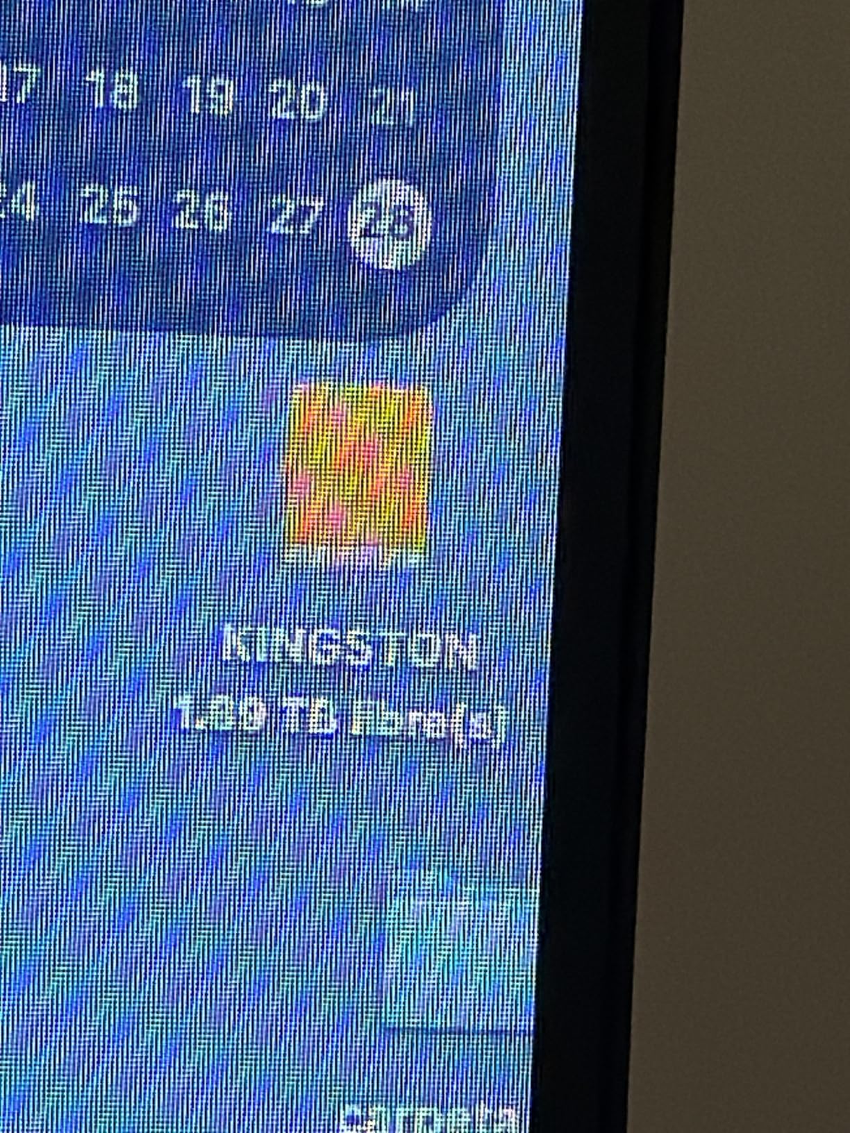 Kingston XS1000 1TB customer photo 2