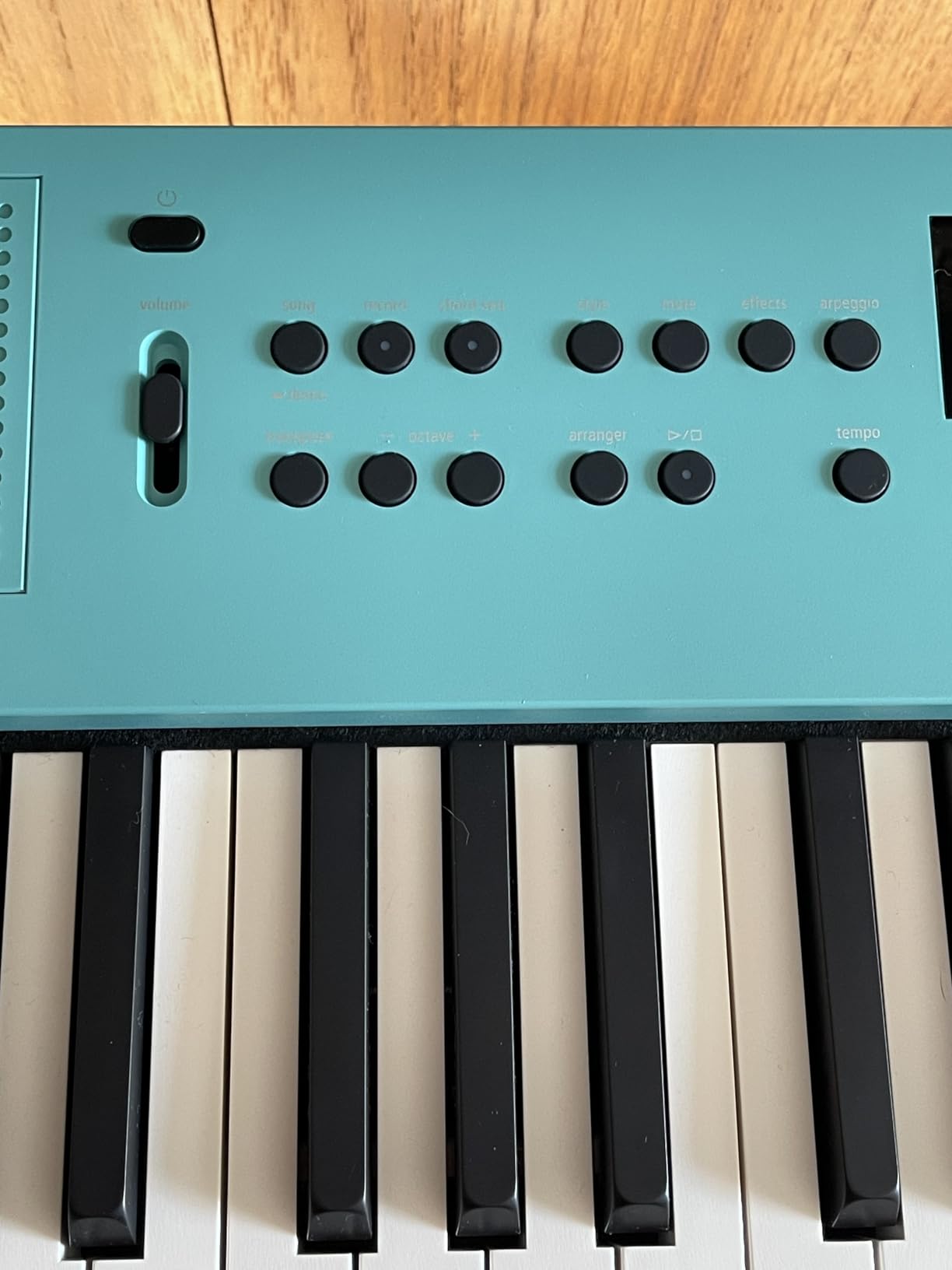 Roland GO:KEYS 3 Music Creation Keyboard, 61-Note, Turquoise customer photo 1