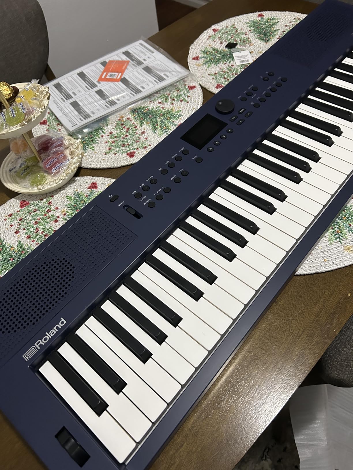 Roland GO:KEYS 3 Music Creation Keyboard, 61-Note, Turquoise customer photo 2