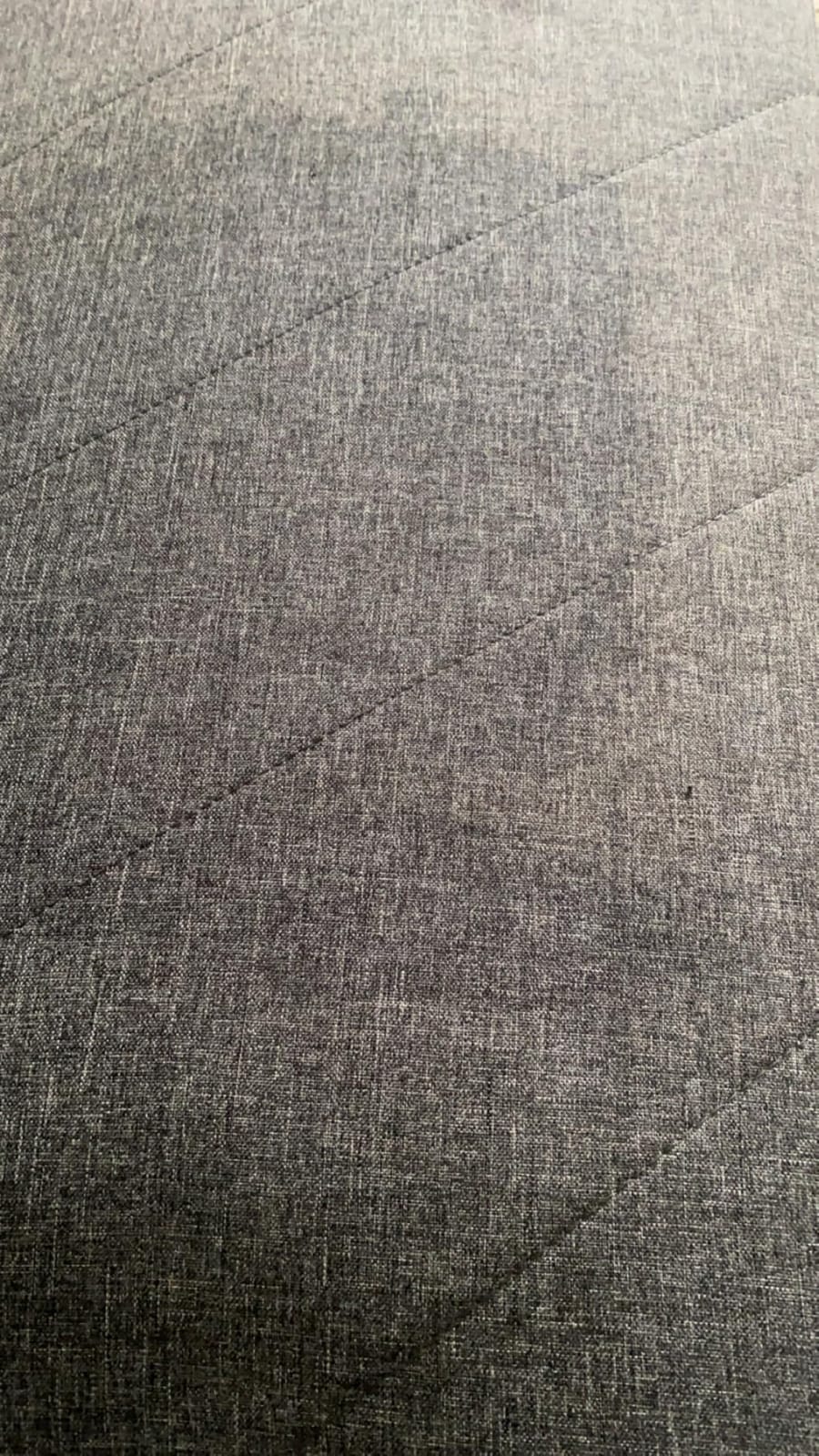 Shark CarpetXpert HairPro customer photo 1