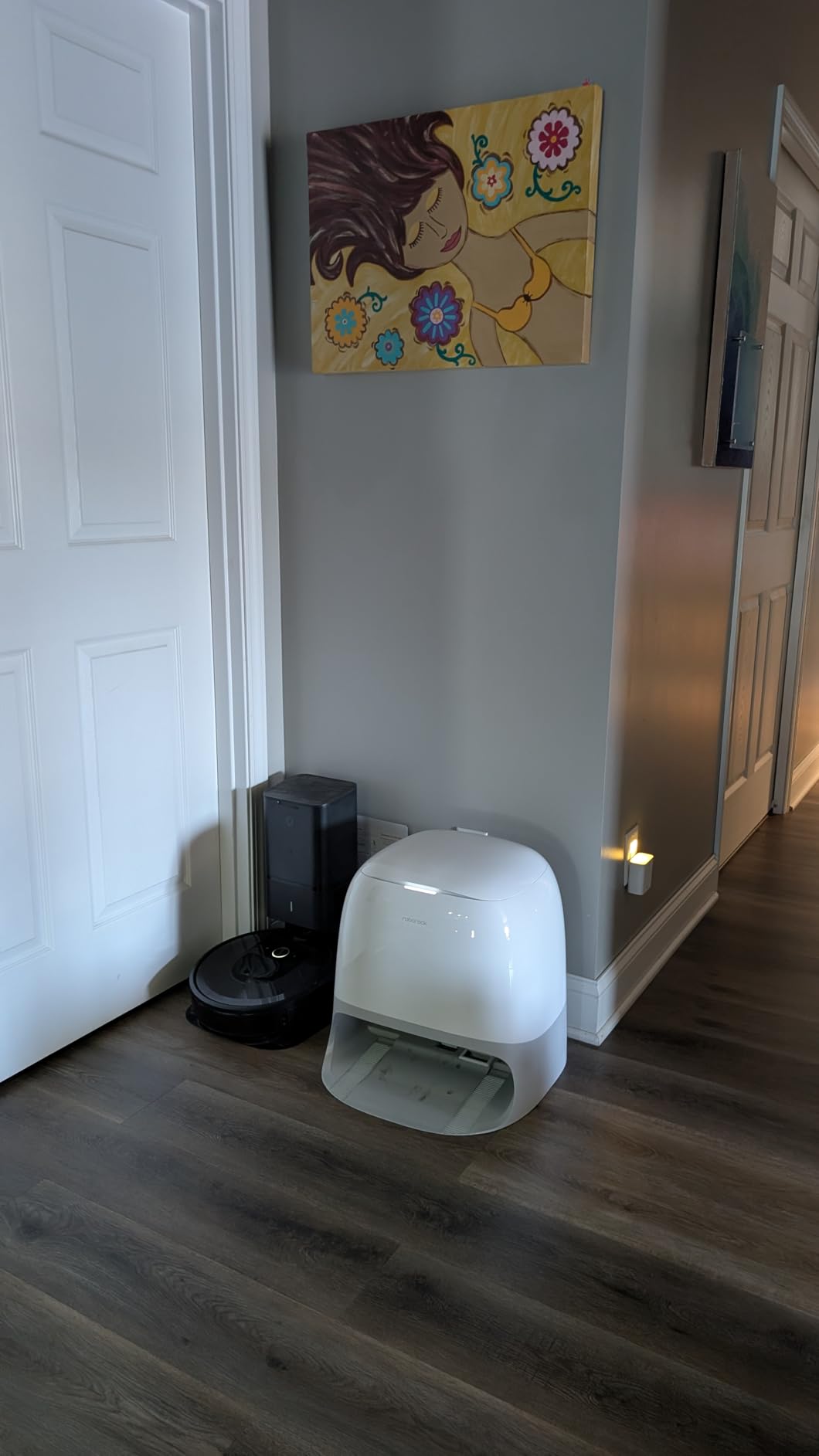 Roborock Qrevo Curv 2 Flow customer photo 2