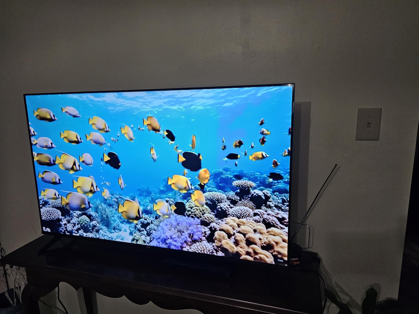 TCL 65F8D customer photo 1