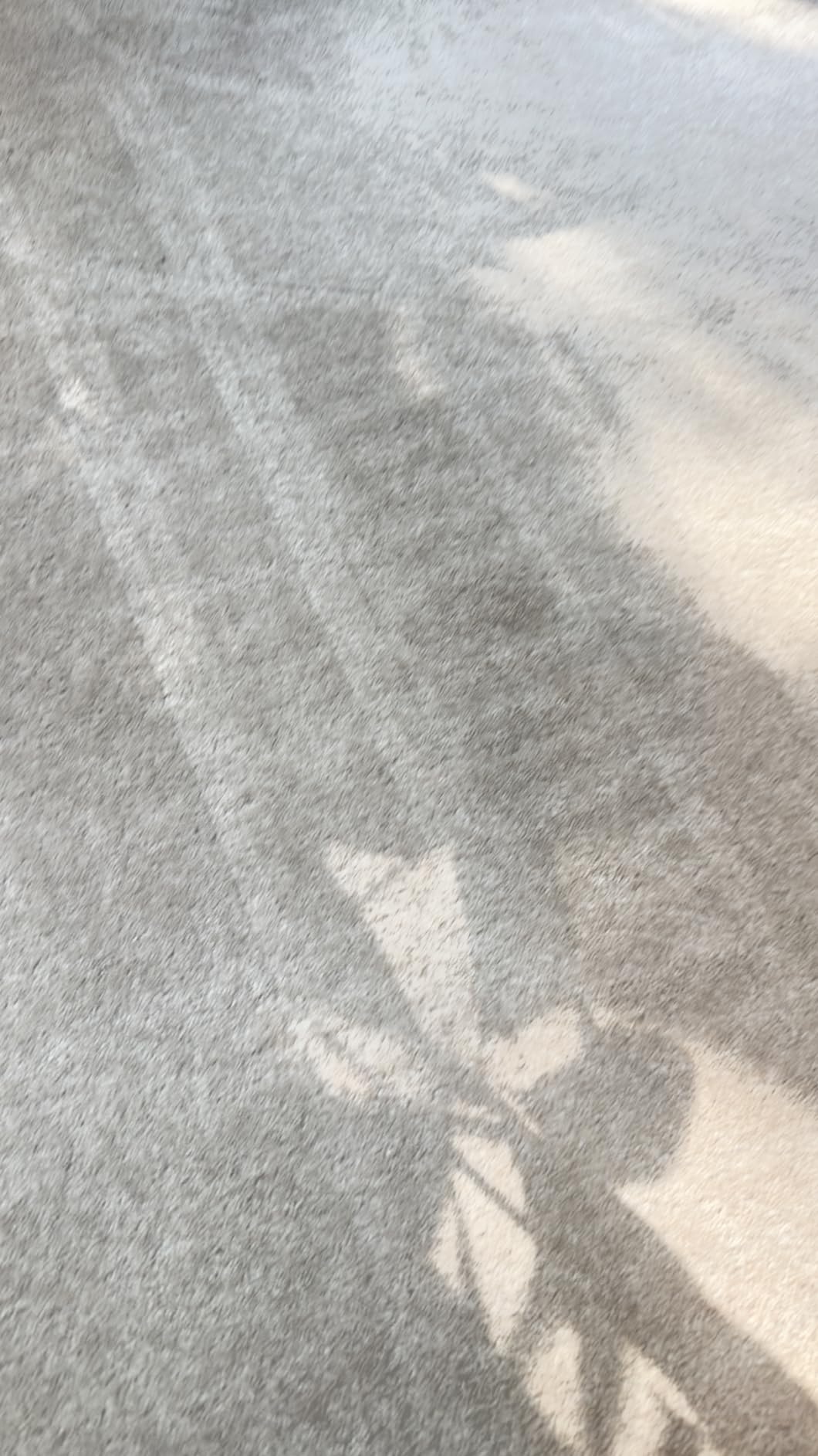 Roomba Max 715 customer photo 1
